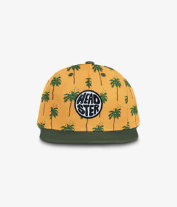 Palm Cosmic Snapback